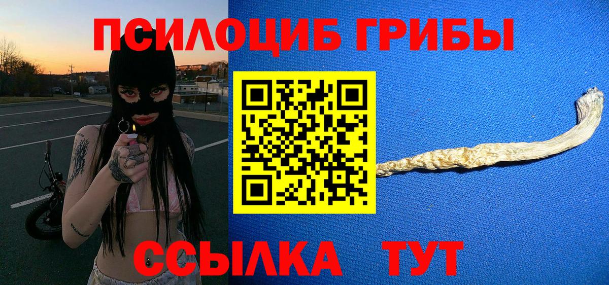 Псилоцибиновые грибы MAGIC MUSHROOMS  Вход с VPN  Михайловск  Псилоцибиновые грибы Magic Shrooms 